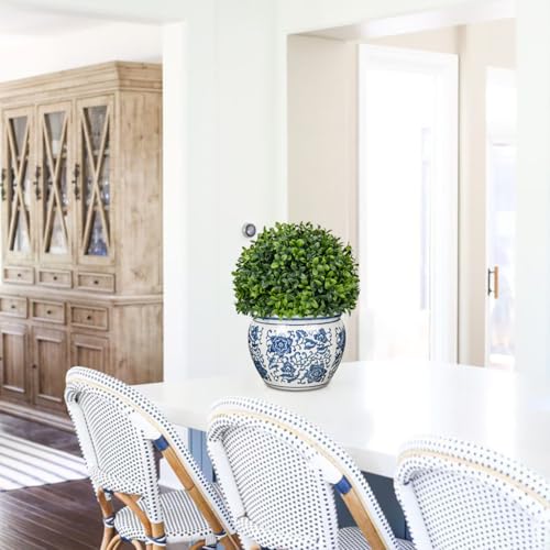 Dilatata Preserved Boxwood Ball In Blue And White Ceramic Pot thumb #3