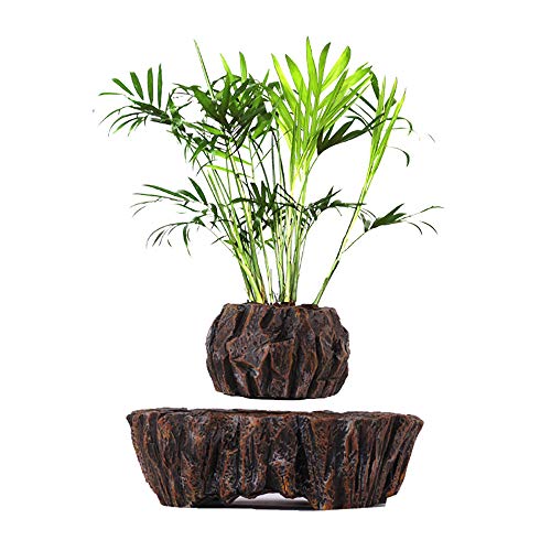 Maceta Flotante De LevitacióN, BonsáI De Aire De LevitacióN MagnéT