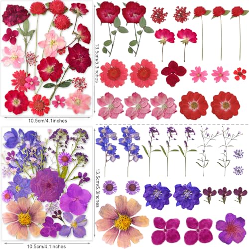 Image of 221PCS Real Nature Dried Pressed Flowers for Resin Craft, Dry Pressing Floral with Butterfly Transparent Stickers Set for DIY Jewelry Making Nail Card Scrapbook Art Eternity Summer