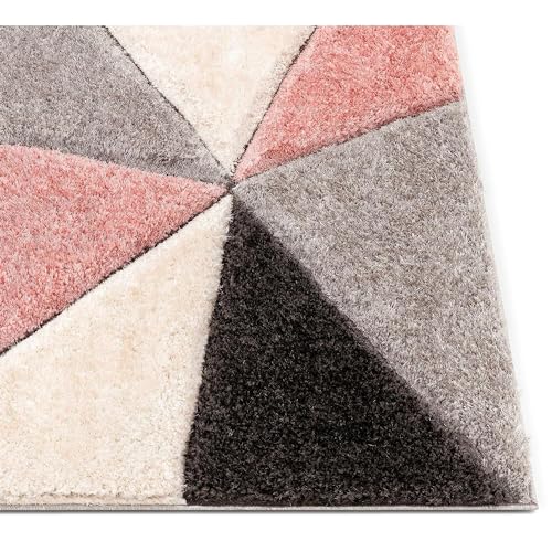 Image of SAGON Anti-Skid Shaggy Carpet Rug for Home | Ultra-Soft Plush Floor Mat for Living Room & Bedroom | Non-Slip, High-Density, Cozy Luxury Decor| 6 x 9 Feet Pink - T