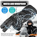 WESTWOOD FOX B0CNTQH76J lato 4