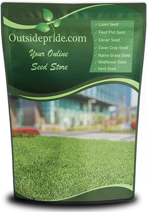 Outsidepride Rescape Seashore Paspalum Turf Grass Seed - 1 lb. Warm Season, Salt & Drought Tolerant Dense Lawn Grass Seed, Perfect for Erosion Control, High Traffic Fields, Beaches, & Coastal Areas