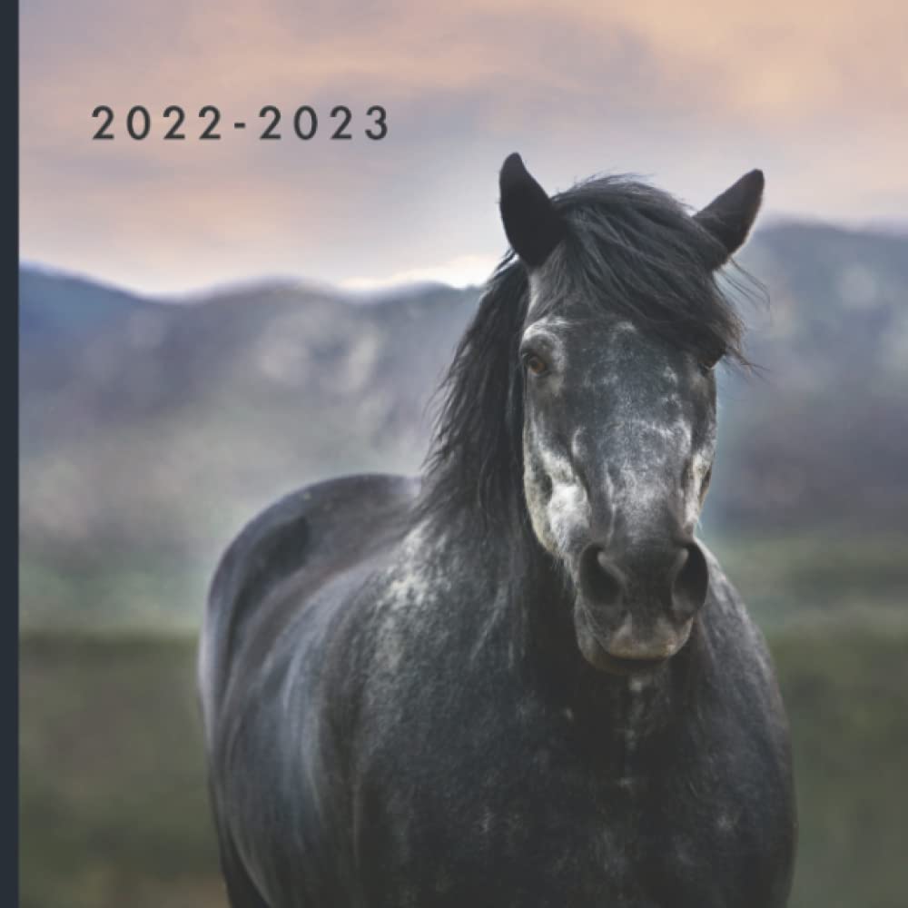 Buy 2022 2023 Majestic Horses 18 Month Monthly Photo July 2022 buy-2022-2023-majestic-horses-18-month-monthly-photo-july-2022