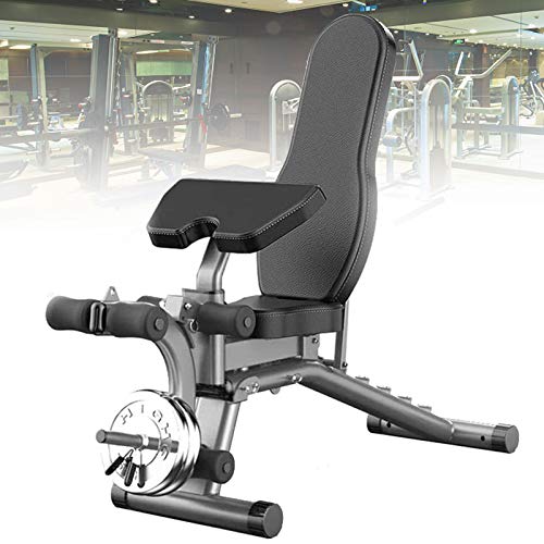 DFGENLY Banco de Pesas Ajustable, Multifuncional Banco de Musculacion de Entrenamiento de Fitness para Casa Gimnasio, Plegable Banco de Mancuerna para Abdominales Formación, Carga 300lb