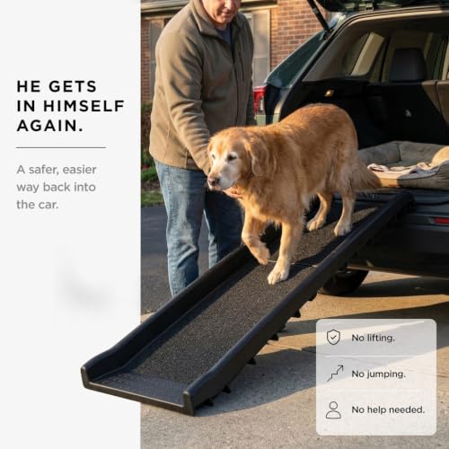 Portable Dog Ramp 62