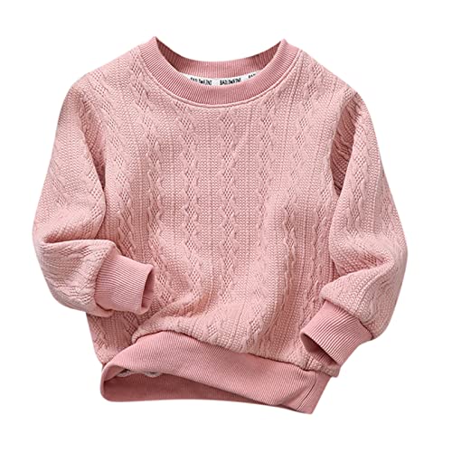 Toddler Children Kids Baby Boys Girls Solid Round Collar Knitted Thick Sweater Pullover Blouse Tops (B, 6-7 Years)