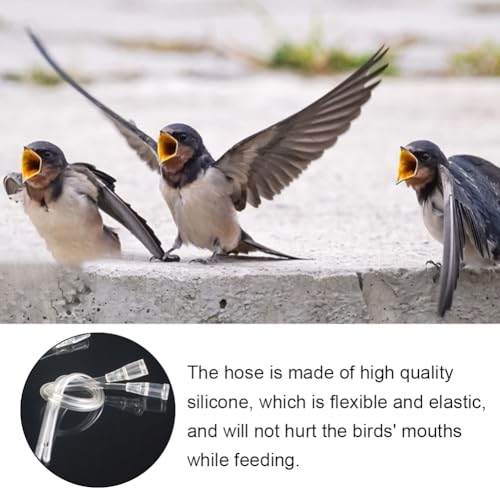 Jungvögel Füttern Spritze, Baby Vogel Fütterungsspritze, 16 Stück Jungvögel Füttern Schlauch, Aufzuchtflasche Futterspritze, Haustiere Handfütterungswerkzeug, für Papageien, Milch, Wasser, Medikamente