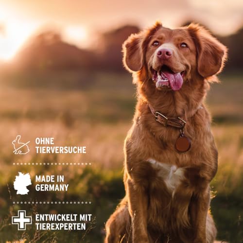 AniForte Fellharmonie Pflegespray Sensitive 200ml – Sanfte Fellpflege für Hunde & Katzen, Entwirrungsspray zur Entfilzung & als Kämmhilfe