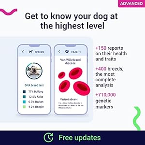 Koko-DNA-Test-for-Dogs-Advanced-175-Breeds-Health-Traits-reports-Updates-at-no-cost - Cucciolini Doodles   Koko-DNA-Test-for-Dogs-Advanced-175-Breeds-Health-Traits-reports-Updates-at-no-cost