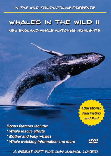 Whales in the Wild 2 DVD de la naturaleza salvaje de Nueva Inglaterra en formato Alemania