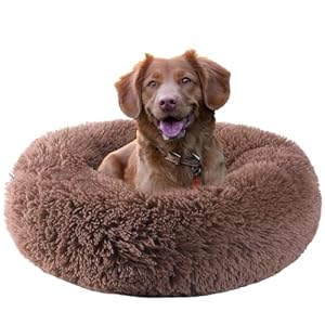 HYQ Small Dog Bed, Pet Beds for Small Dogs, Cat Beds for Indoor Cats, Fluffy Faux Fur Plush Small Dog Bed, Washable Puppy Bed with Anti-Slip Bottom, Dog Bed Medium Size Dog (Khaki, 28 Inch)