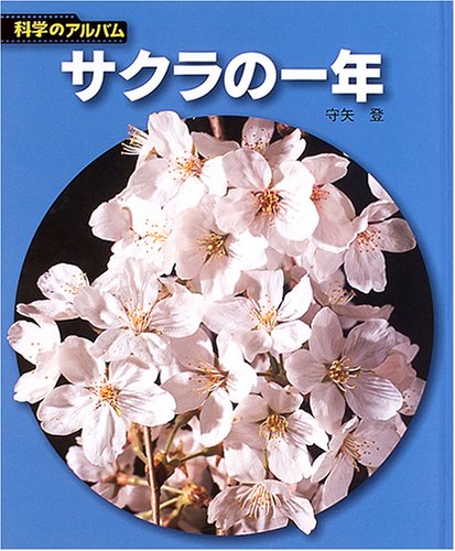 【美品】櫻木稔作 『秋桜』 平成十一年十一月七日 51BMVHE2P7L.jpg
