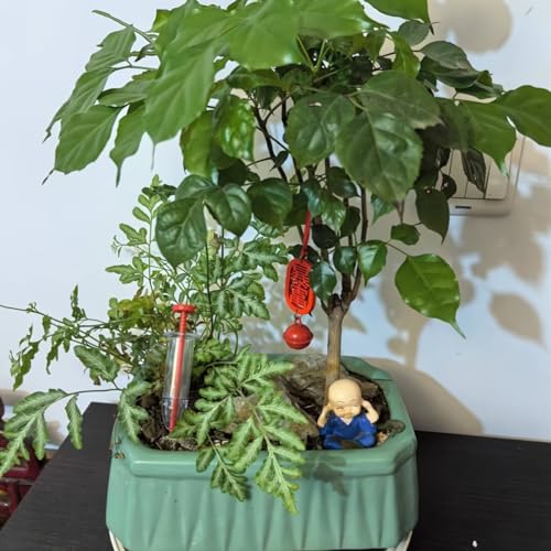 Dispensador de semillas estilo jeringa para jardín miniatura 4