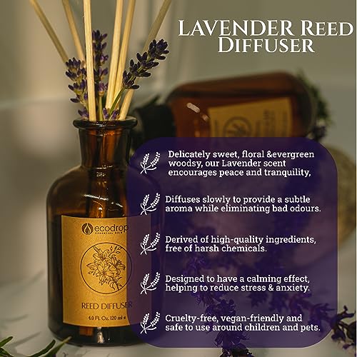 Ecodrop-Lavender-Reed-Diffuser-Set-100ml-Relaxing-Calm-Scented-Aromatherapy-Fragrance-Oil-a-Glass-Bottle-6-Wooden-Reed-Sticks-Set-Home-Spa-Gift-for-Living-Room-Bathroom-Bedroom-Aroma