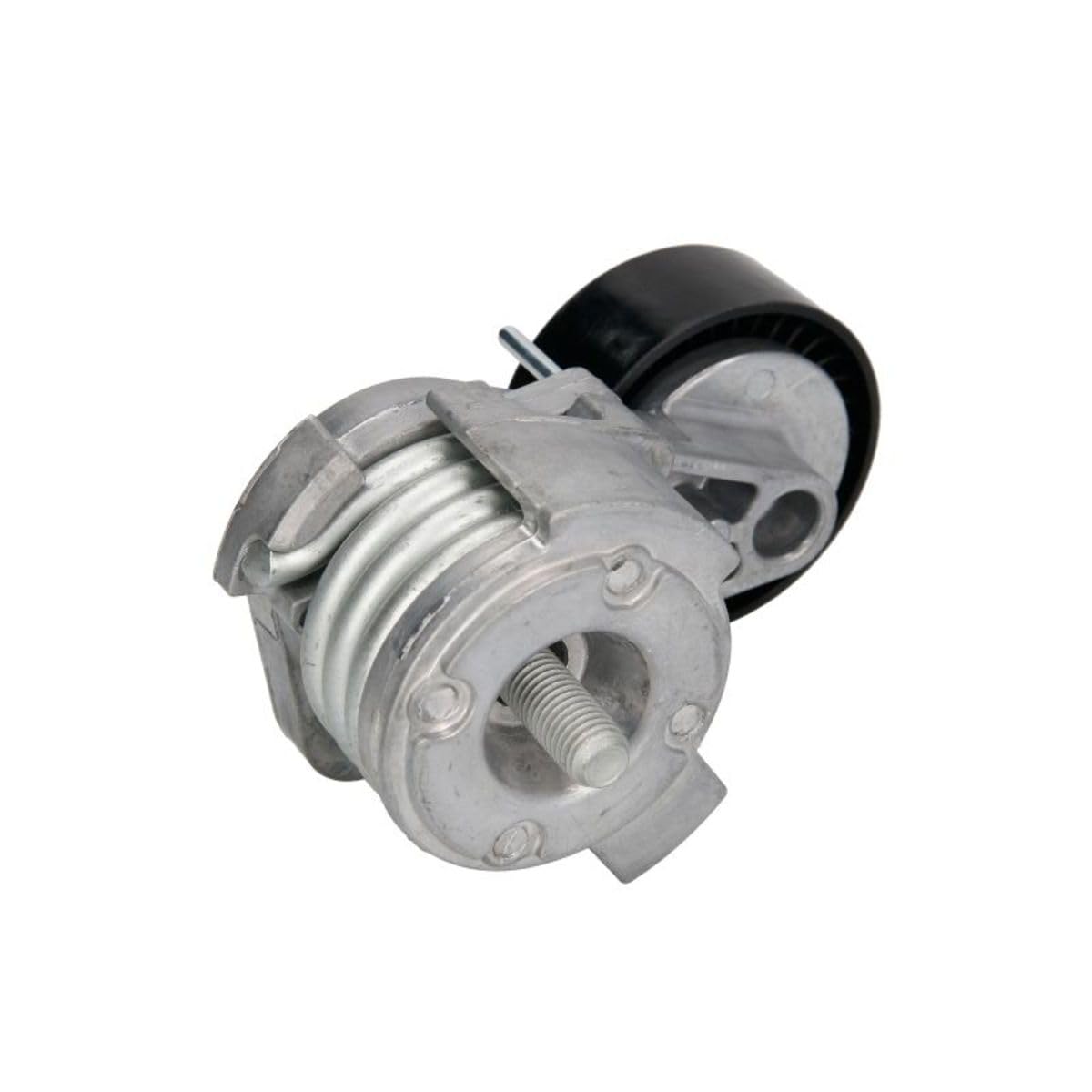 BTA Tendicinghia Cinghia Poly-V E3B0004BTA
