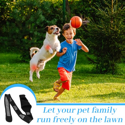 EIHI Kniebandage Hund Hinterbein für das Linke Bein - Hergestellt aus Neopren,für Kreuzbandriss,Bänderverletzungen,Patellaluxation oder Osteoarthritis - Größe L