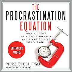 The Procrastination Equation Audiolibro Por Piers Steel arte de portada