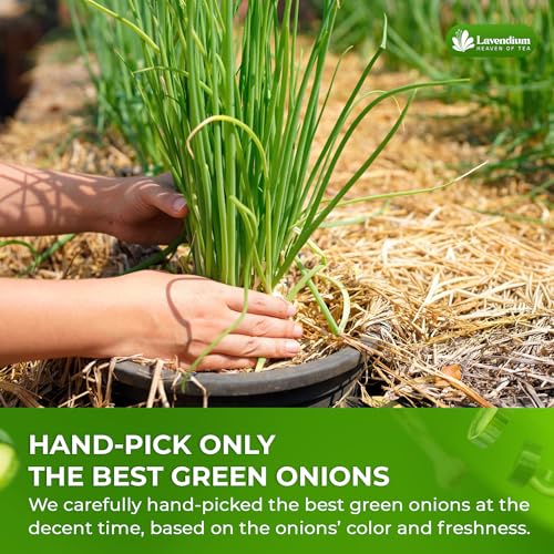 Image of Lavendium, Premium 8 oz Dried Chopped Green Onions, 100% Natural & Pure Scallion Flakes, Non-GMO, No Preservatives, Gluten-Free, Plant-Based & Vegan, Perfect for Cooking, Salads & Garnish