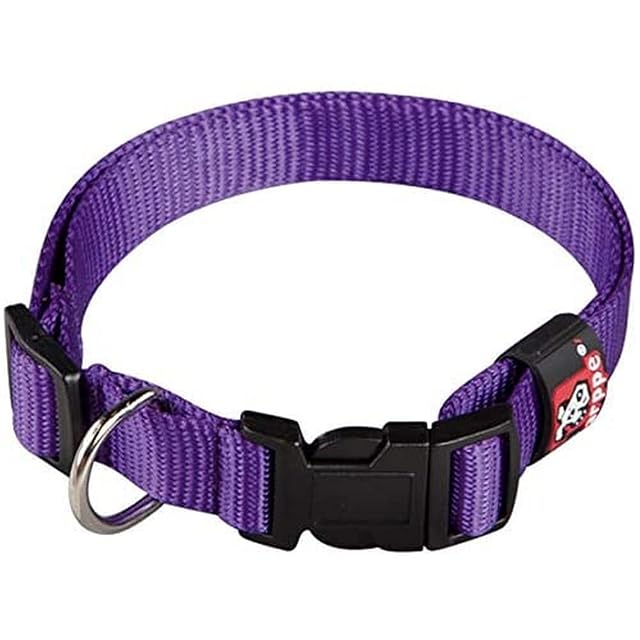Arppe 2240014517 - Collar Nylon Basic, Purpura, L, 1 unidad