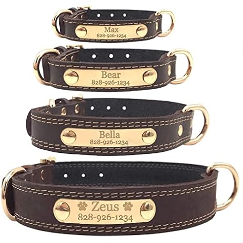 Personalized Engraved Dog Collar - Vegan Soft Leather Cover
