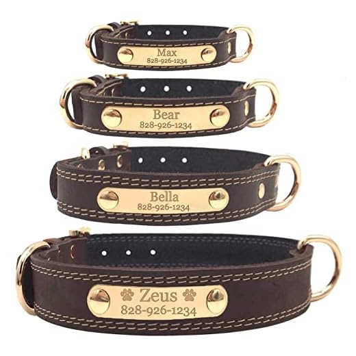 Personalized Dog Collar - Engraved Soft Leather - Custom Small Medium or Large Size with Name Plate (Large, Brown)