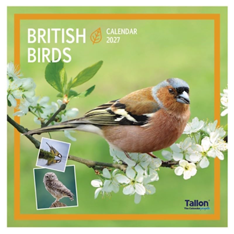 2027 British Wildlife & Birds Month To View Calendar Wall Hanging Nature Themed Family Planner Large Square Organiser (British Bird 2027)