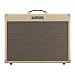 Roland Blues Cube Artist
