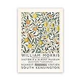 ウィリアムモリスビクトリアアンドアルバートミュージアムギャラリー展、北欧のポスターと版画、フレームレスの帆布絵画 A2 50x70cm