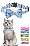 Accesorios de campana: con sonido melodioso, encontrarás a tu dulce gatito bebé ahora mismo