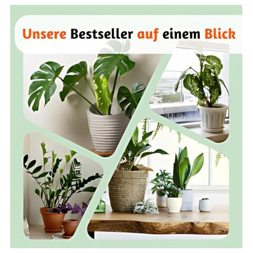 7er-Pflanzen-Set “Tierfreund”, +/- 30-60cm, ø 12-15cm Topf, Bergpalme, Glückskastanie, Bananenpflanze, Korbmarante, Goldfruchtpalme, Grünlilie, Katzengras, Ungiftig & Tierfreundlich