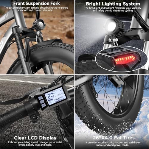 Funhang 1000W Electric Fat Tire Ebike