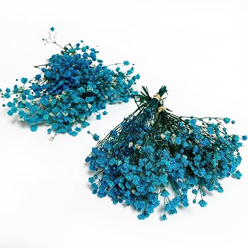 6 piezas Ramo Mini Gypsophila preservada azul miniatura 1