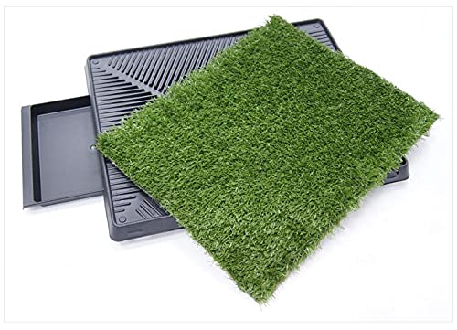 grass toilet