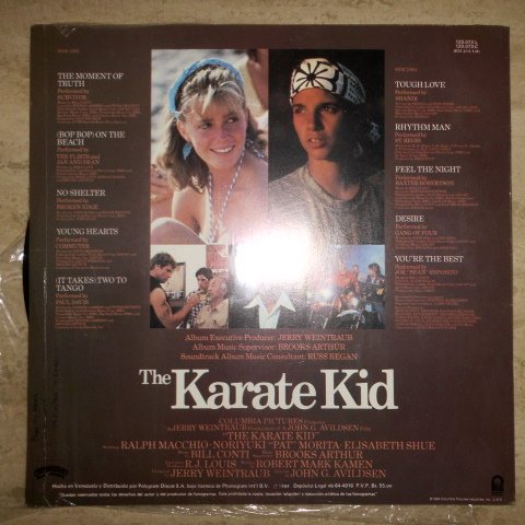 Various – Karate Kid Soundtrack > Compilation Casablanca – 120073 L Venezuela 1984 Survivor; The Flirts And Jan And Dean; Broken Edge; The Commuter; Paul Davis; Shandi; St. Regis; Baxter Robertson; Gang Of Four; Joe "Bean" Esposito; Dennis Lambert; Peter Beckett; Bill Conti; John Mark; Richie Fenton; David Merenda; Toni Stern; A. Flashman; G. St. Regis and G. Challen Survivor; The Flirts And Jan And Dean; Broken Edge; The Commuter; Paul Davi image 2