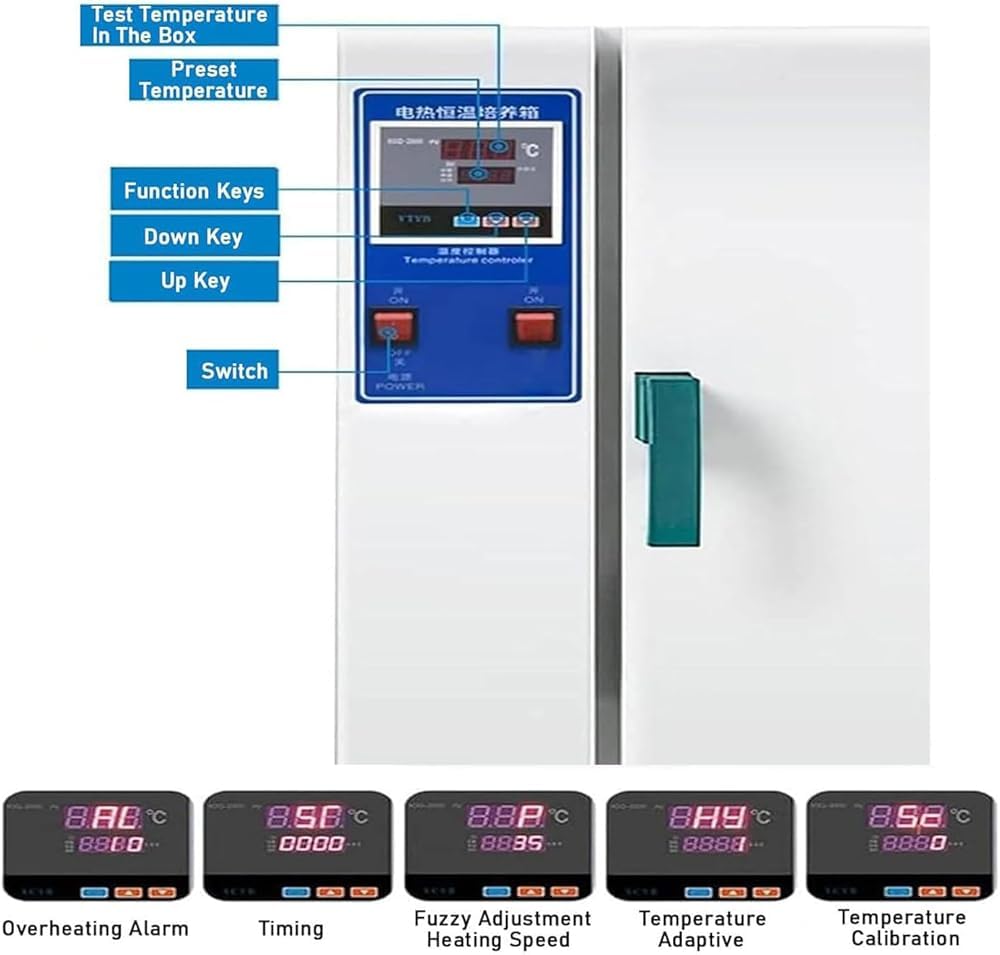 Forno di essiccazione sottovuoto, convezione digitale ad aria forzata, velocità della ventola regolabile, incubatore termostatico da laboratorio per produzione industriale e agricola