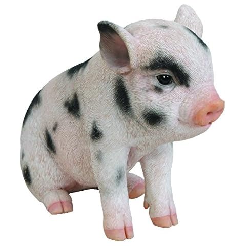 Hi-Line Gift Ltd Sitting Baby Pig with Black Spots, 6" Cover