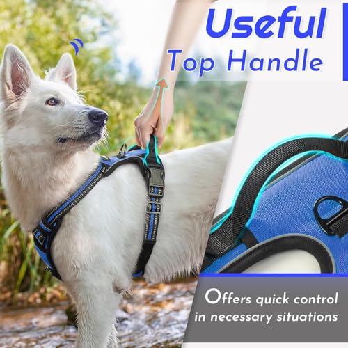 Image of Eagloo Dog Harness for Small Dogs, No Pull Pet Vest with 2 Leash Clips