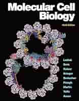 【新品未開封】Molecular Biology of the Cell 第4版 Molecular Biology of the Cell, Fourth Edition: Alberts