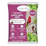 Happy Wings Safflower Seeds Wild Bird Food - 5 Pounds I No Grow Seed I Bird Seed for Wild Birds