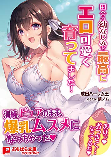 田舎の幼なじみが最高