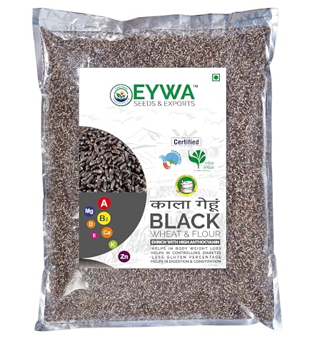 Image of Eywa Seeds & Exports Pvt Ltd Organic Black Wheat Grains 5 Kgs For Eating And Cookings