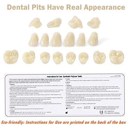 Image of JMU 28 Pcs /Set Dental Acrylic Resin Denture Teeth Shade A1 T6 Resin Synthetic False Teeth (Pack of 2)