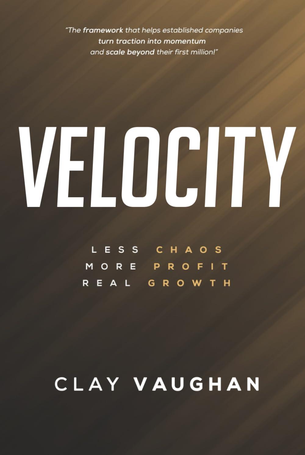 Velocity: Less Chaos. More Profit. Real Growth.