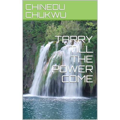 TARRY TILL THE POWER COME Audiolibro Por CHINEDU CHUKWU arte de portada