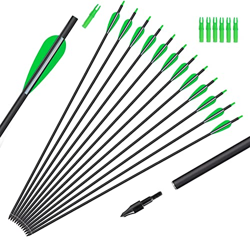 GPP Outdoors Carbon 30-Inch Arrows with Field Points Replaceable Tips (12 Pack) for Recuve Bow & Compound Bow with 6 Free nocks, Green Vanes