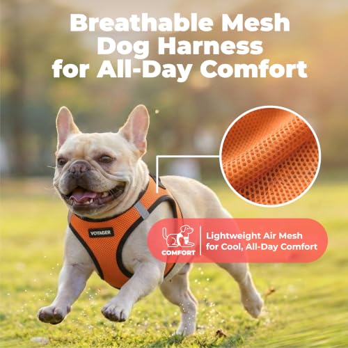 Image of Voyager Step-in Air Dog Vest Harness - Orange /Black Trim, Small