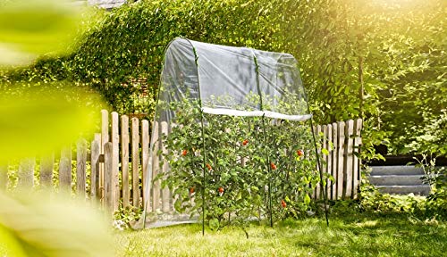 Windhager Tomaten-Folientunnel Set
