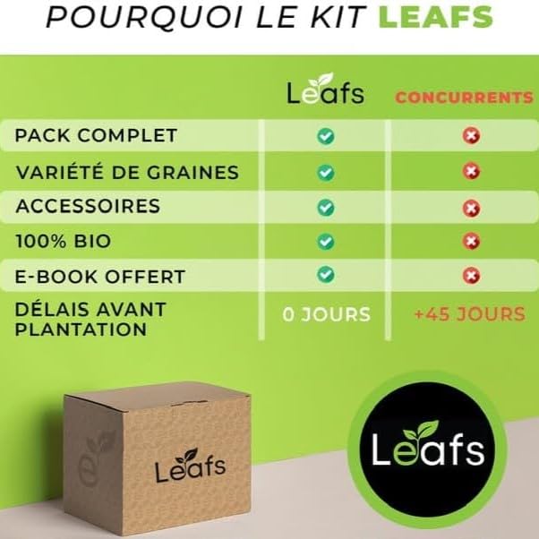 Kit Bonsai Plantation Coffret Cadeau Original Homme Femme Graines Glysines Pin Copalme Plantes Intérieur Extérieur
