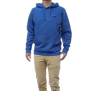 Amazon.co.jp: [パタゴニア] メンズ プルオーバー パーカー