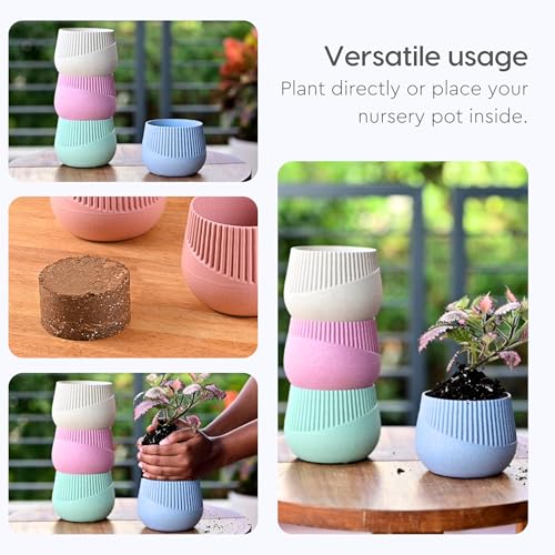 Image of Eha Earth Friendly Oreo 4 inch Small pots for Indoor Plants with 2 Growmix| Pack of 4| Made with Bamboo Fibers|Table Top Planters for Home Decor and Office, Flower Pot for Living Room|Multicolor